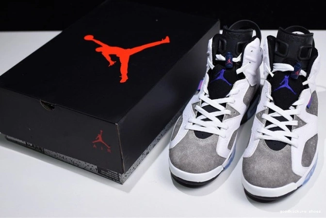 Grey Air 6 Flint Jordan CI3125-100 0819